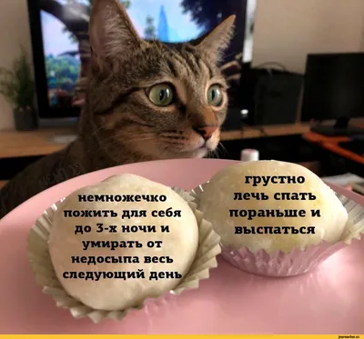 Фотографии, которые сделают ваш день лучше