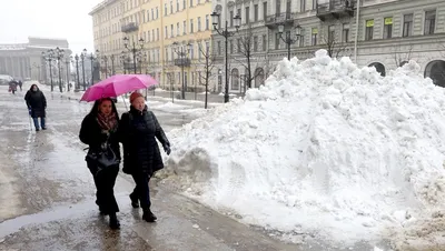 Зимние зарисовки Санкт-Петербурга: Ваши избранные картинки