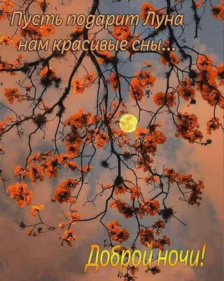 Фото Спокойной ночи одноклассники в Full HD