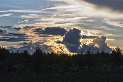 Фотографии Спокойной ночи Сергей в 4K