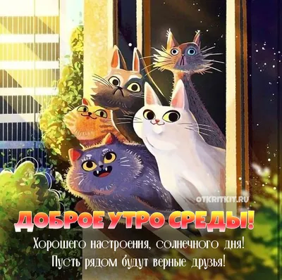 Среда смешные картинки: 5 и