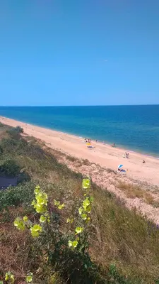 Фото пляжа Голубицкая: наслаждение морским бризом