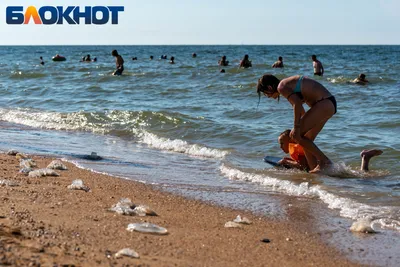 Фотки пляжа Голубицкая: наслаждение летом