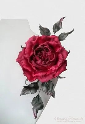 Уникальная картинка Староанглийская роза в png: скачать сейчас