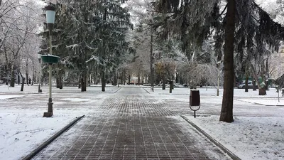 Зимние моменты: Лучшие фото Ставрополя