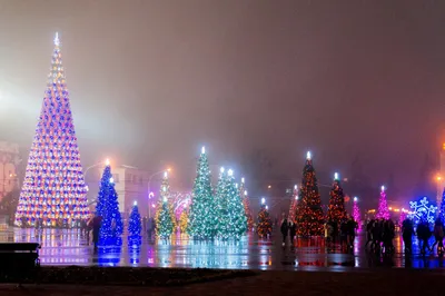 Фотоальбом Ставрополя: Зимние пейзажи и краски