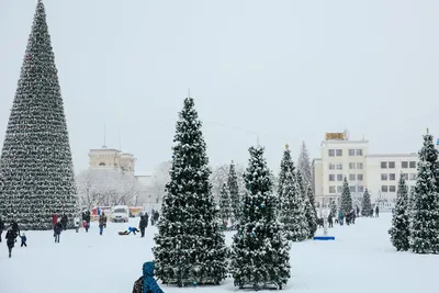 Зимнее волшебство в объективе: Фотографии Ставрополя