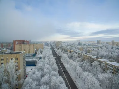 Зимнее вдохновение: Фотографии Ставрополя