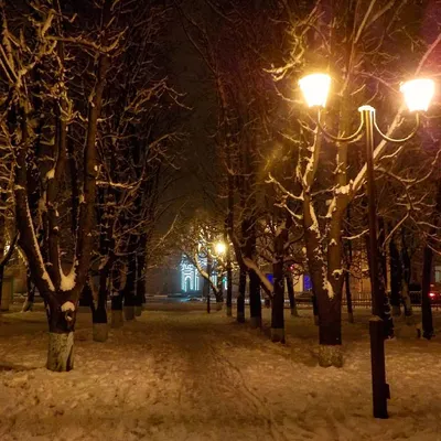 Зимний чарующий Ставрополь: Фотографии природы