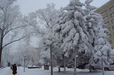 Фотоискусство зимнего Ставрополя: Лучшие моменты