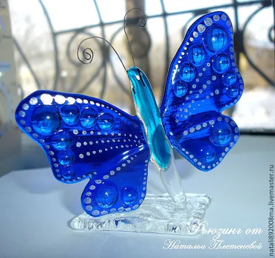 Фотка стеклянной бабочки с прекрасными отражениями