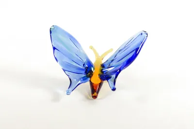 Яркая стеклянная бабочка - фотография на задний фон