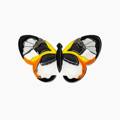 Фото стеклянной бабочки с голографическим эффектом