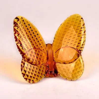 Фотка стеклянной бабочки с переливающимся светом