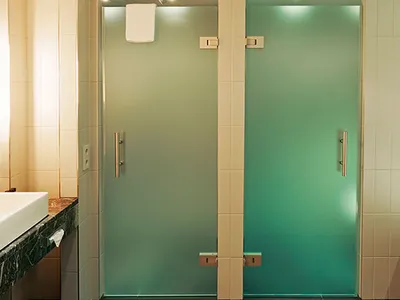 Стеклянные двери для ванной: фотографии для вдохновения