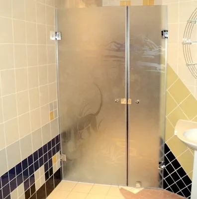 Идеи использования стеклянных дверей в ванной комнате: фото и стиль