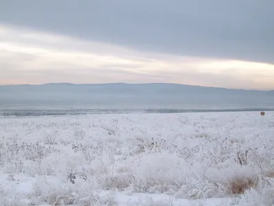 Зимний пейзаж на степи: Фотка в JPG доступна для загрузки