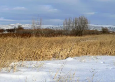 Просторы зимней степи: Фото в формате JPG для скачивания