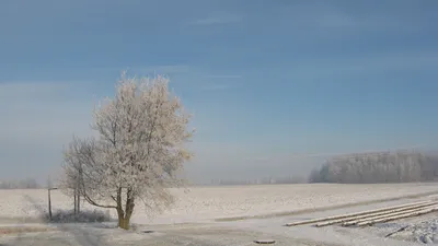 Зимние образы степи: Фотография в формате PNG для загрузки