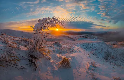 Зимний рай на степи: Изображение в WebP для сохранения