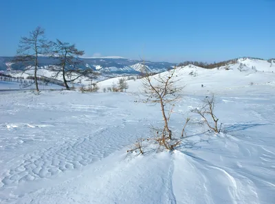 Зимний пейзаж степи: Изображение в высоком разрешении в WebP