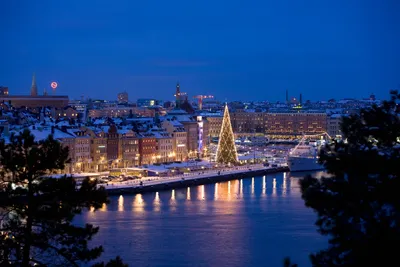Зимний пейзаж Стокгольма: выберите размер и формат скачивания