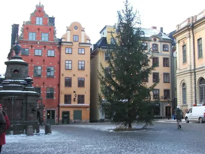 Стокгольм в зимнем наряде: выберите фото по своему вкусу