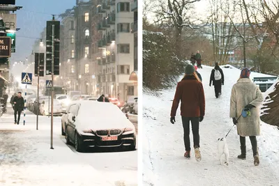 Зимний городской портрет: фотографии Стокгольма для скачивания