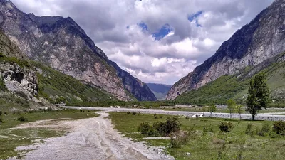 Горы во всей красе: Фото Столовой горы владикавказ