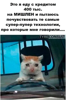 Смешное изображение, которое развеселит всю вашу компанию