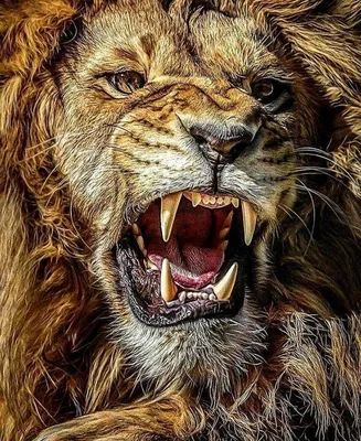 Фото Страшного Льва в высоком разрешении webp