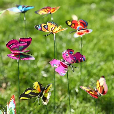 Уникальные бабочки в формате PNG
