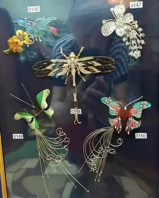 Фотка стрекозы бабочки: ураган красок на вашем экране