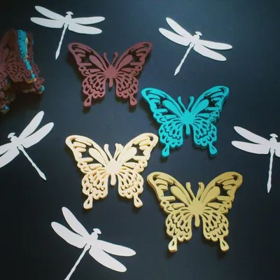 Фотки стрекозы бабочки: проникнитесь красотой природного мира