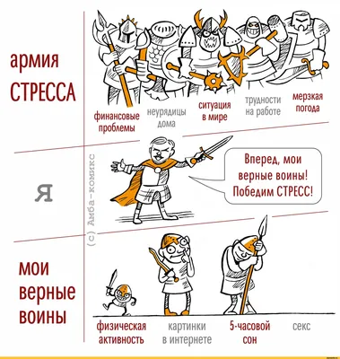 Фото смешные картинки - выберите размер и формат для скачивания