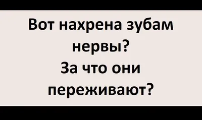 Лучшие смешные фото 2024 года в хорошем качестве