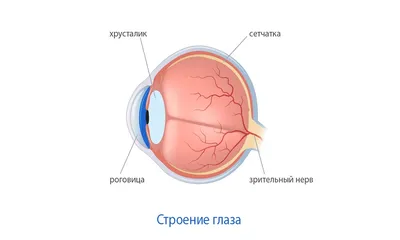 Очарование в каждом пикселе: выберите формат и размер фото.