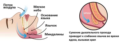 34. Фото миндалин: уникальные ракурсы и различные форматы