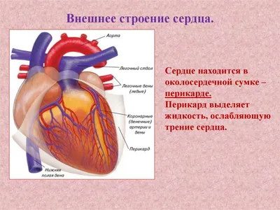 Визуализация жизни: Размер и формат на ваш выбор