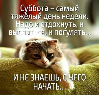 Фотографии, которые заставят вас улыбнуться