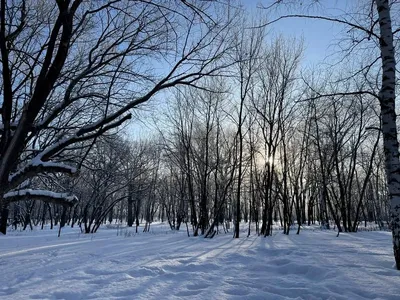 Белоснежная красота: Снег на фотографиях