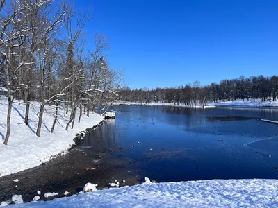 Зимние моменты: Заснеженные пейзажи на фото