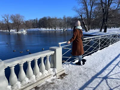 Фон снега для дизайна