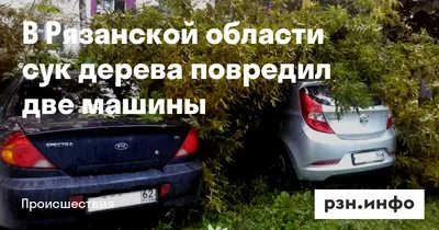 Изображение декоративного дерева суком на андроид-устройства