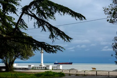 Волшебство воды: Фотоотчет о водных просторах Сухумского моря