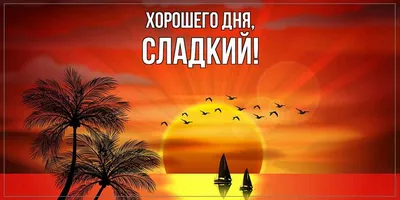 Фотографии дня: скачать бесплатно в HD качестве