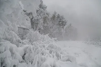 Зимняя красота Сургута: Фотографии высокого разрешения