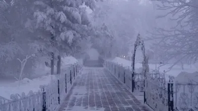 Сургут зимой: Очарование морозных дней в изображениях