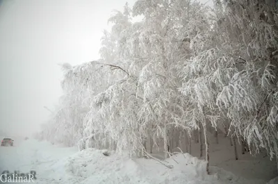 Фотогалерея: Зимние моменты в Сургуте на ваш выбор