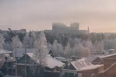 Зимняя сказка в Сургуте: Изысканные изображения для загрузки